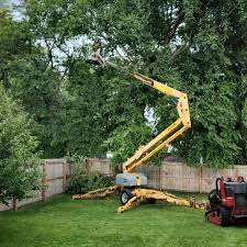Whitney, TX Tree Care Company